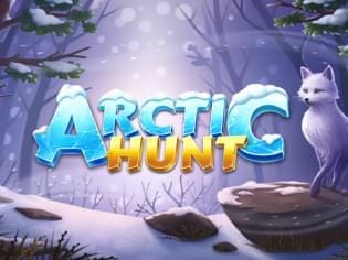 Arctic Hunt screenshot