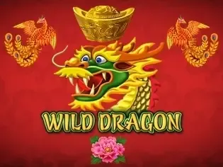 Wild Dragon screenshot