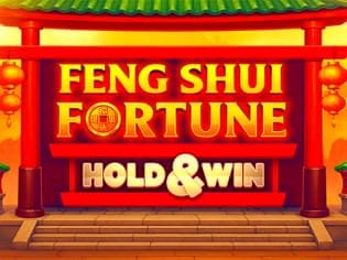 Feng Shui Fortune screenshot